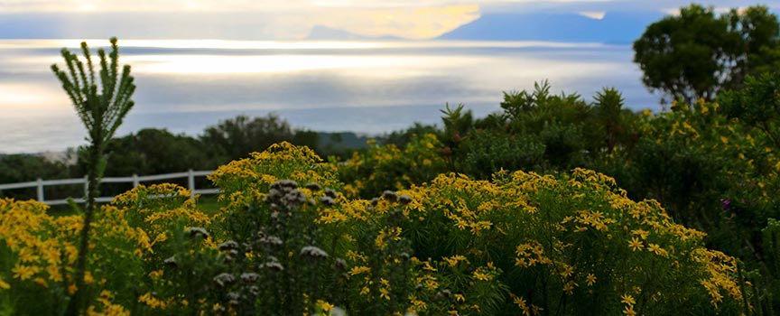 grootbos private game reserve deck view
