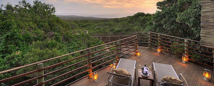 grootbos private game reserve deck