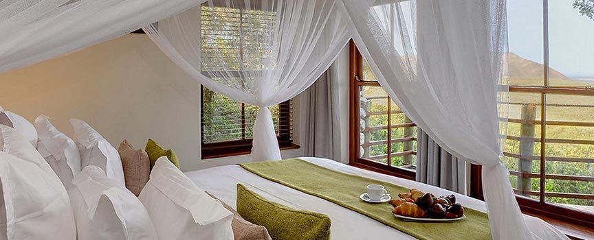 grootbos private game reserve room breakfast