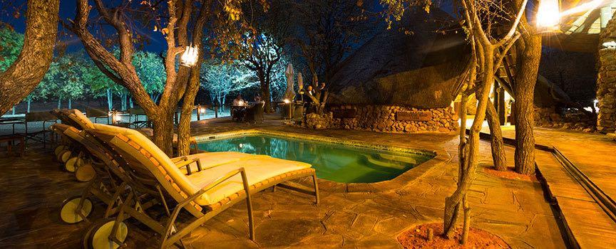 ongava game reserve namibia tented camp pool