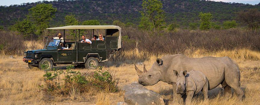 ongava game reserve tented camp