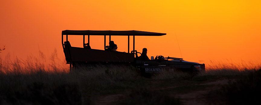 shamwari game reserve sunset