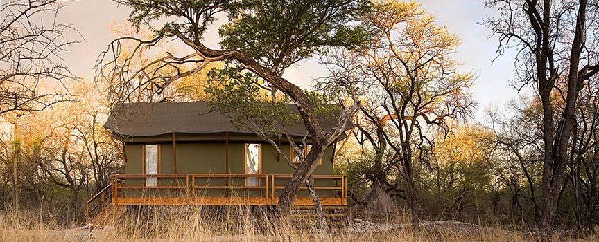 the mushara collection outpost tented accommodation