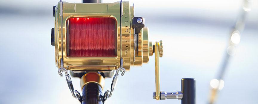 close up of a fishing reel