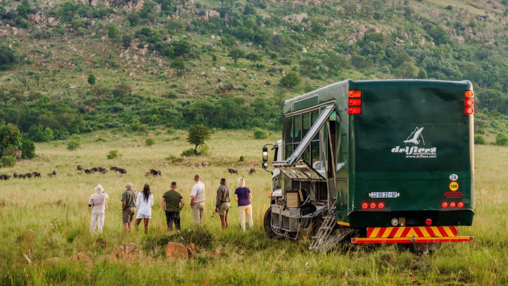 drifters adventure tours/custom adventure truck stopped to view wildlife