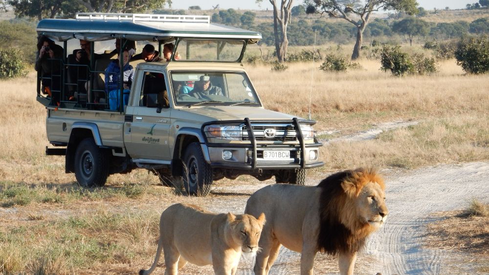 drifters custom adventure truck/custom safari vehicle