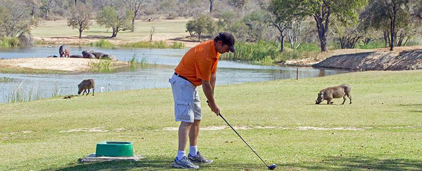 golfer preparing to swing