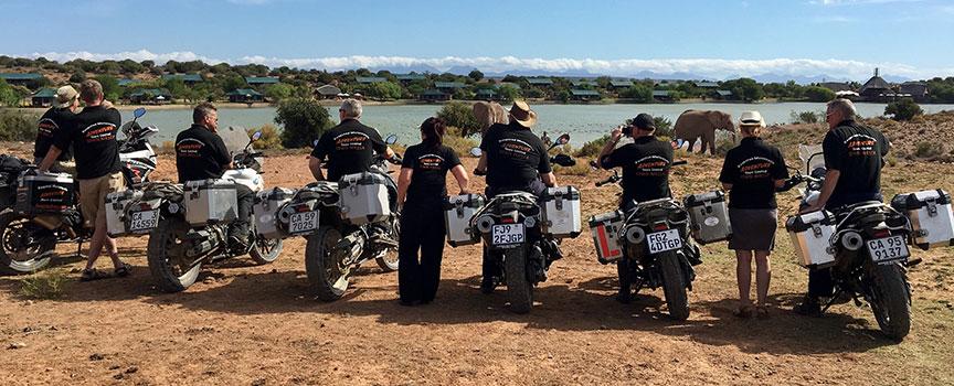 group of motorbike riders taking a break to admire the elephants