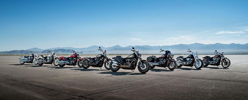harley davidsons with views of the vast south african landscape