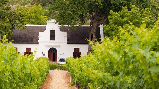 south african winelands wine tasting