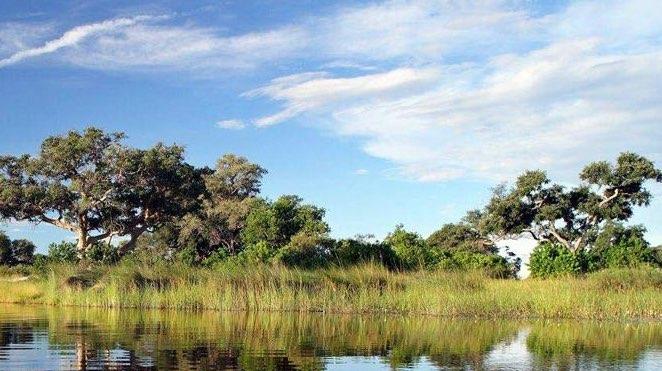 the vast waterways of the okavango delta in botswana