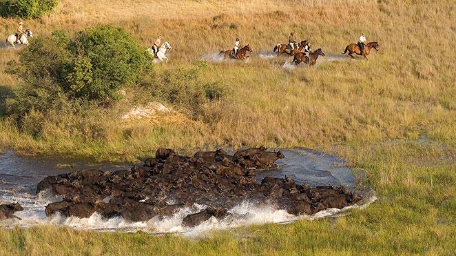 tourists exploring the okavango delta on horseback