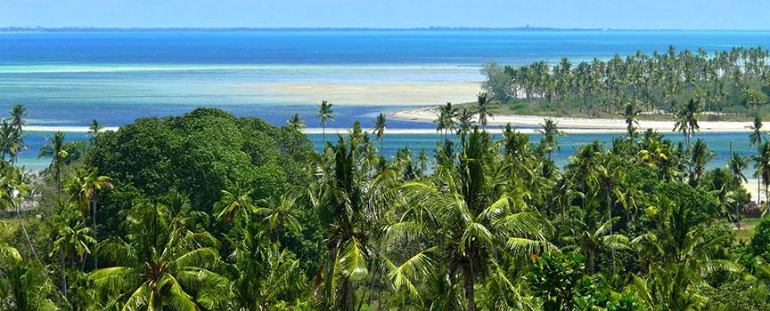 tropical beach fishing destination