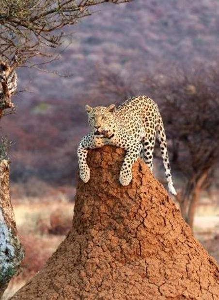 CLASSIC NAMIBIA TOUR