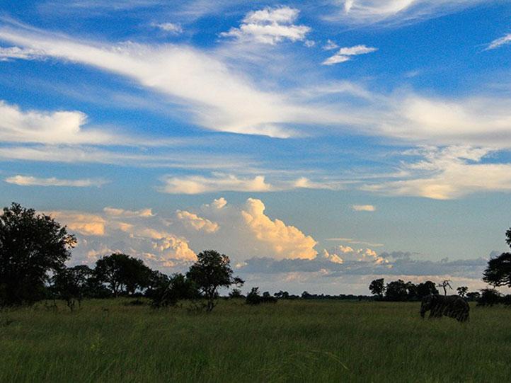 THE CAPRIVI STRIP