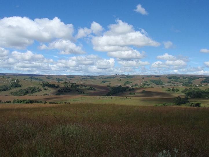 NYIKA HIGHLANDS