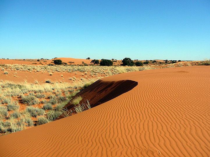 the lively kalahari desert of botswana