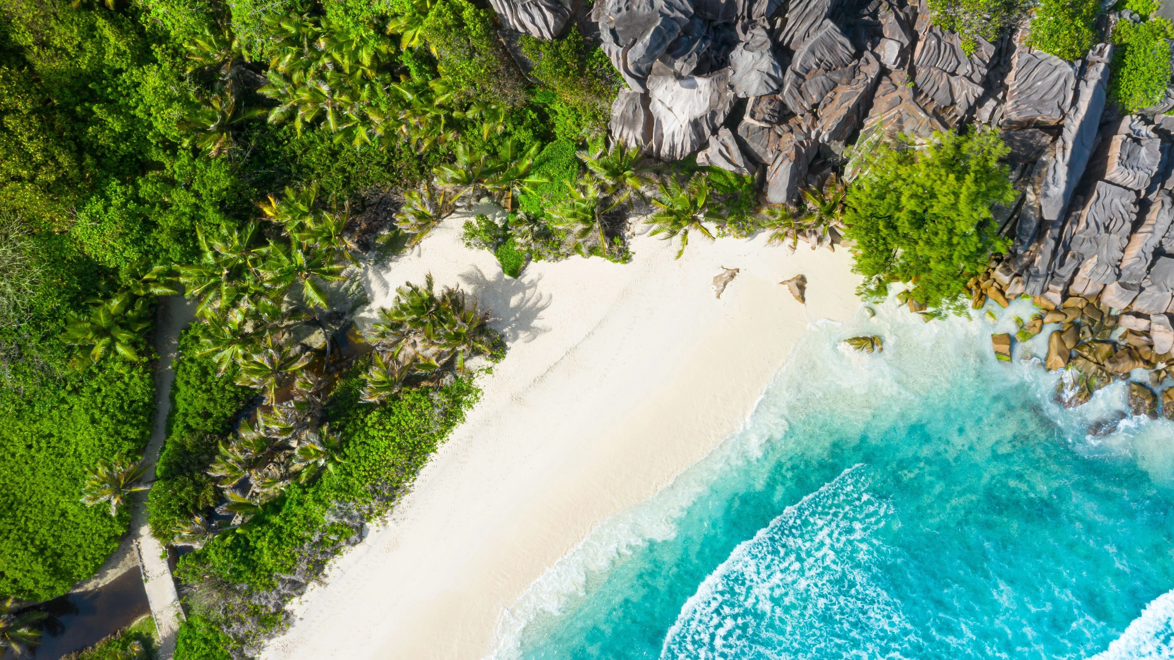 Africa Collection Holiday