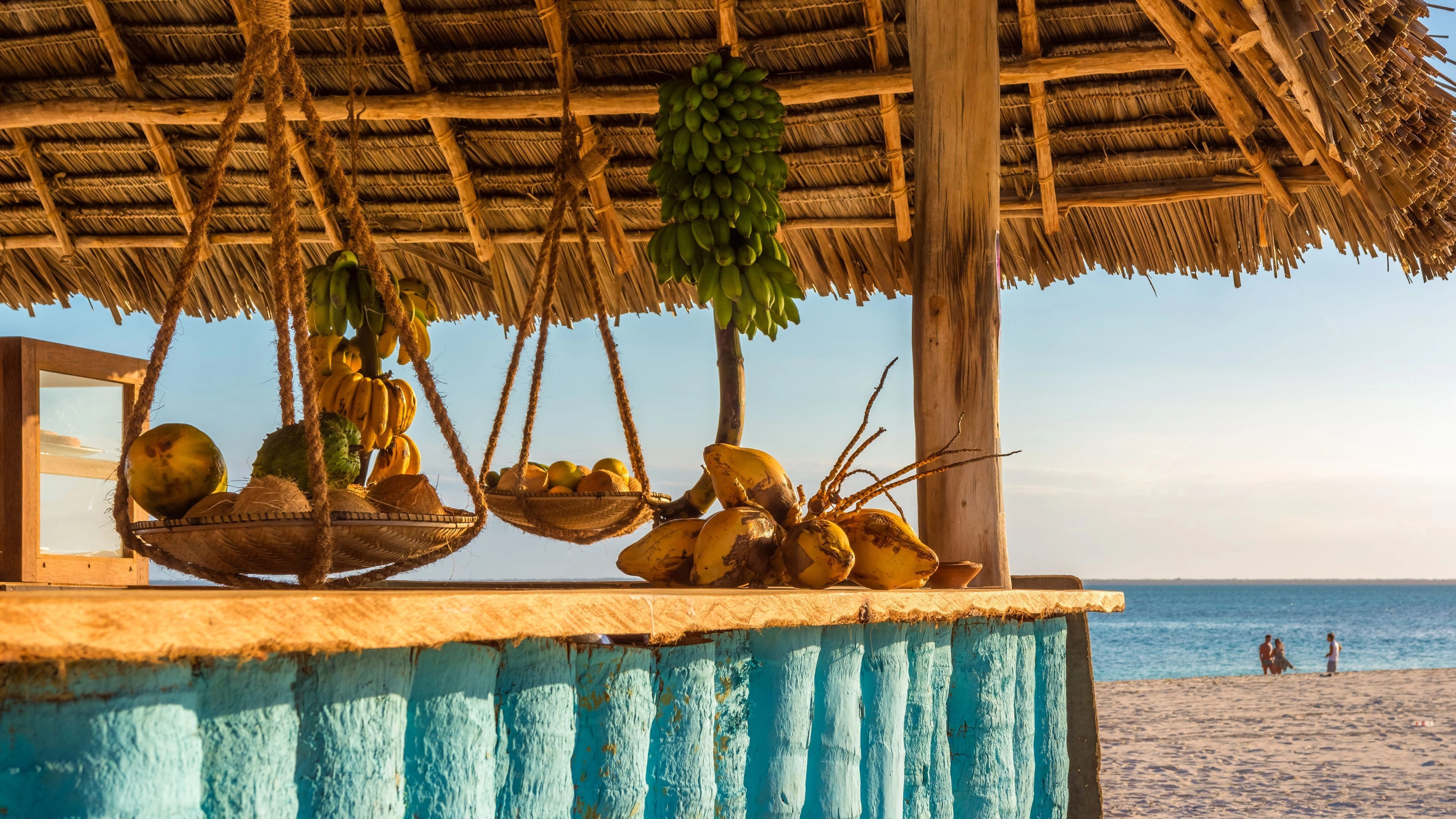 Africa Collection Holiday