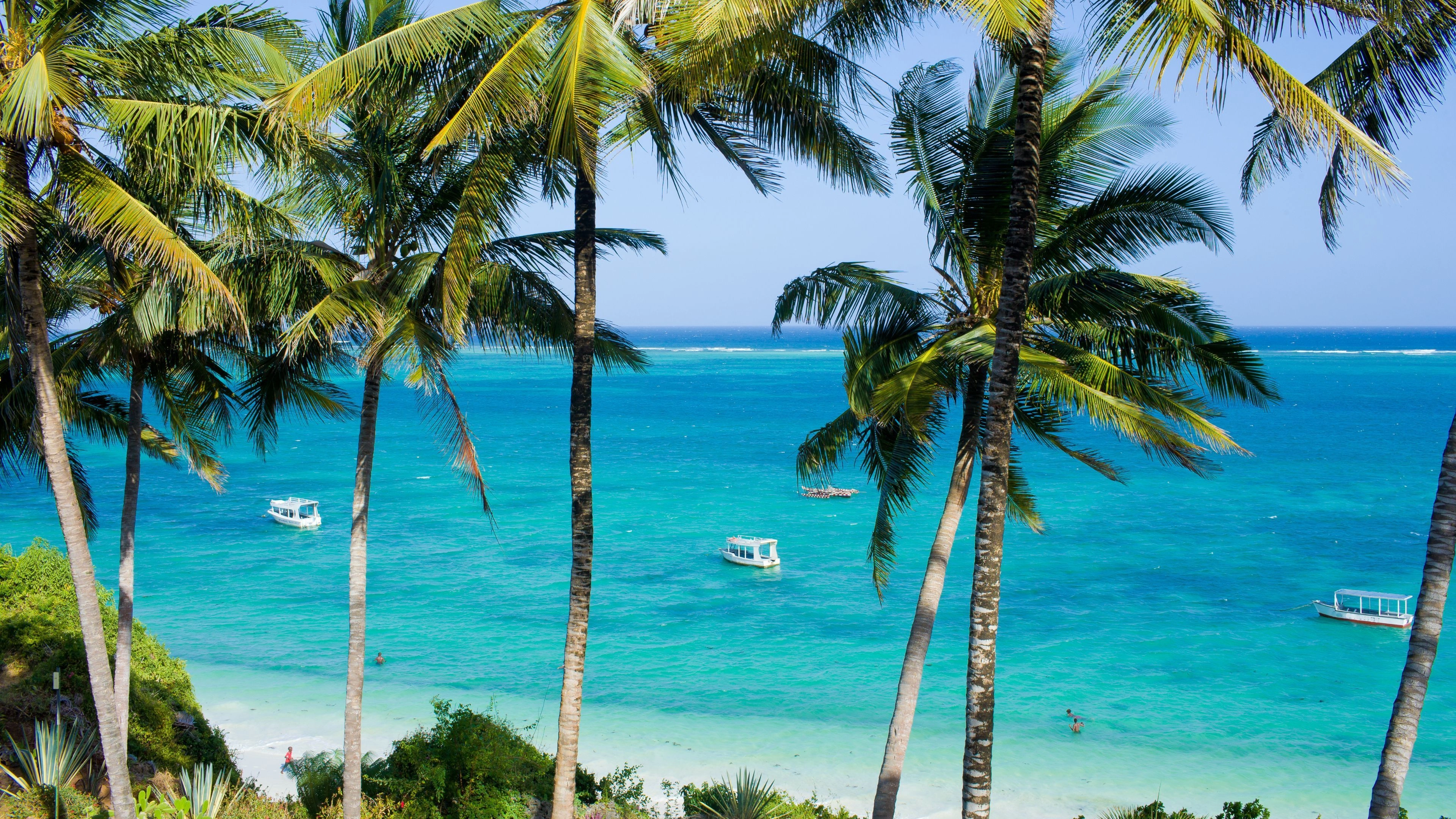 Africa Collection Holiday