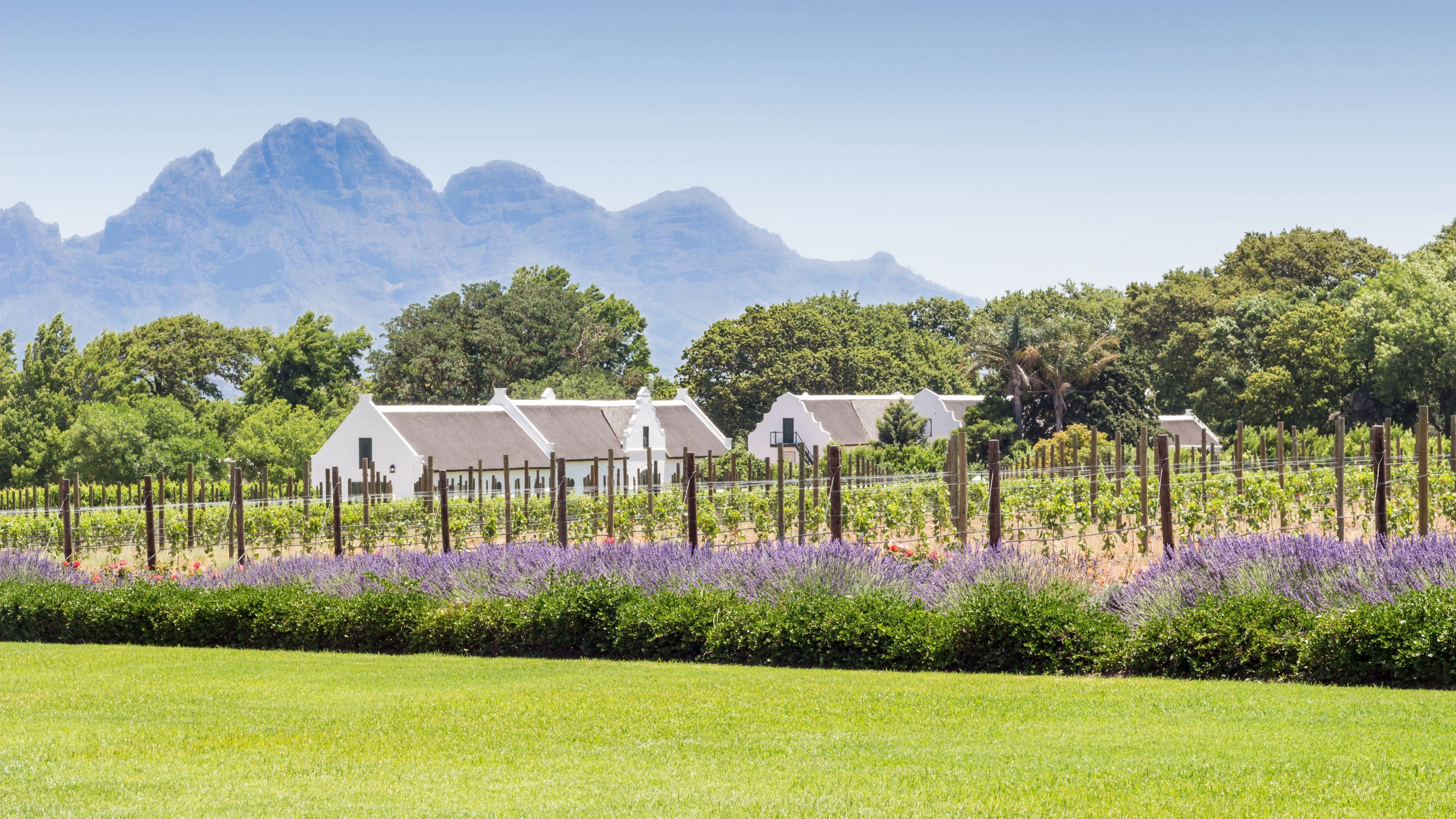 Africa Collection Holiday