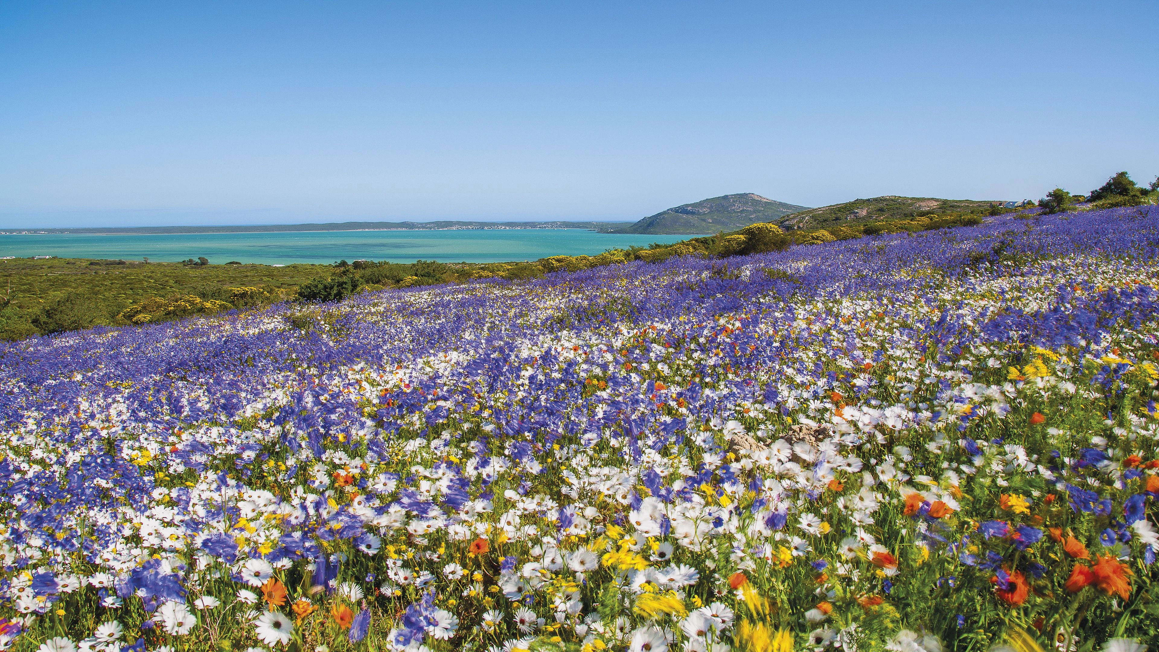 Africa Collection Holiday