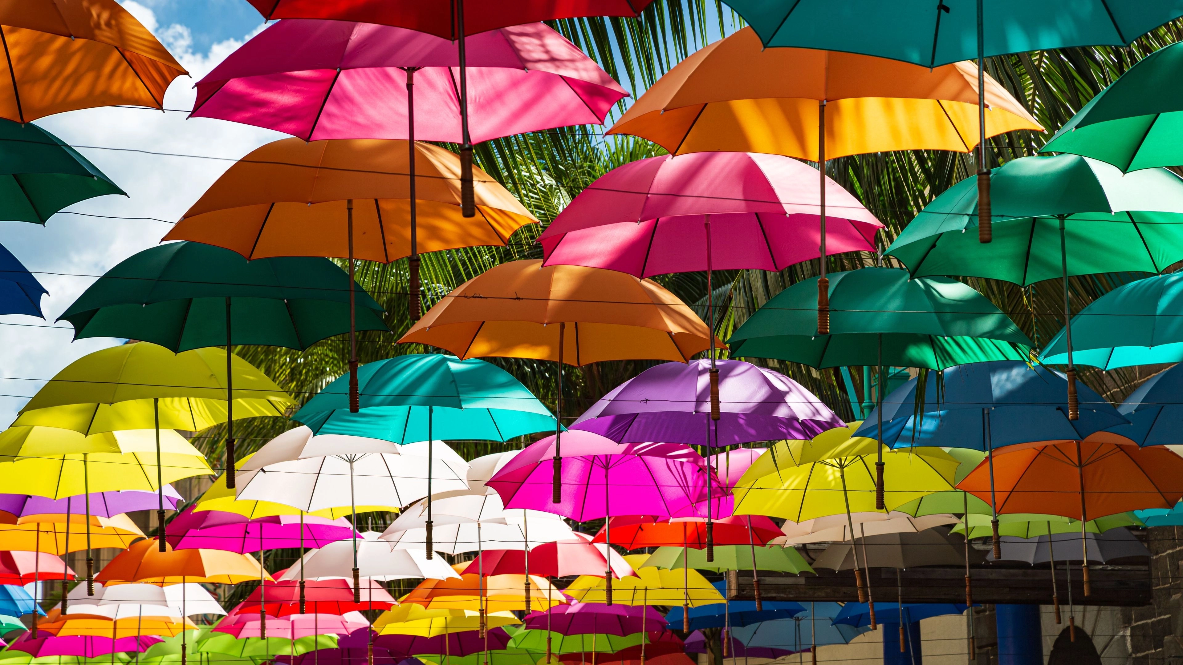 Africa Collection Holiday