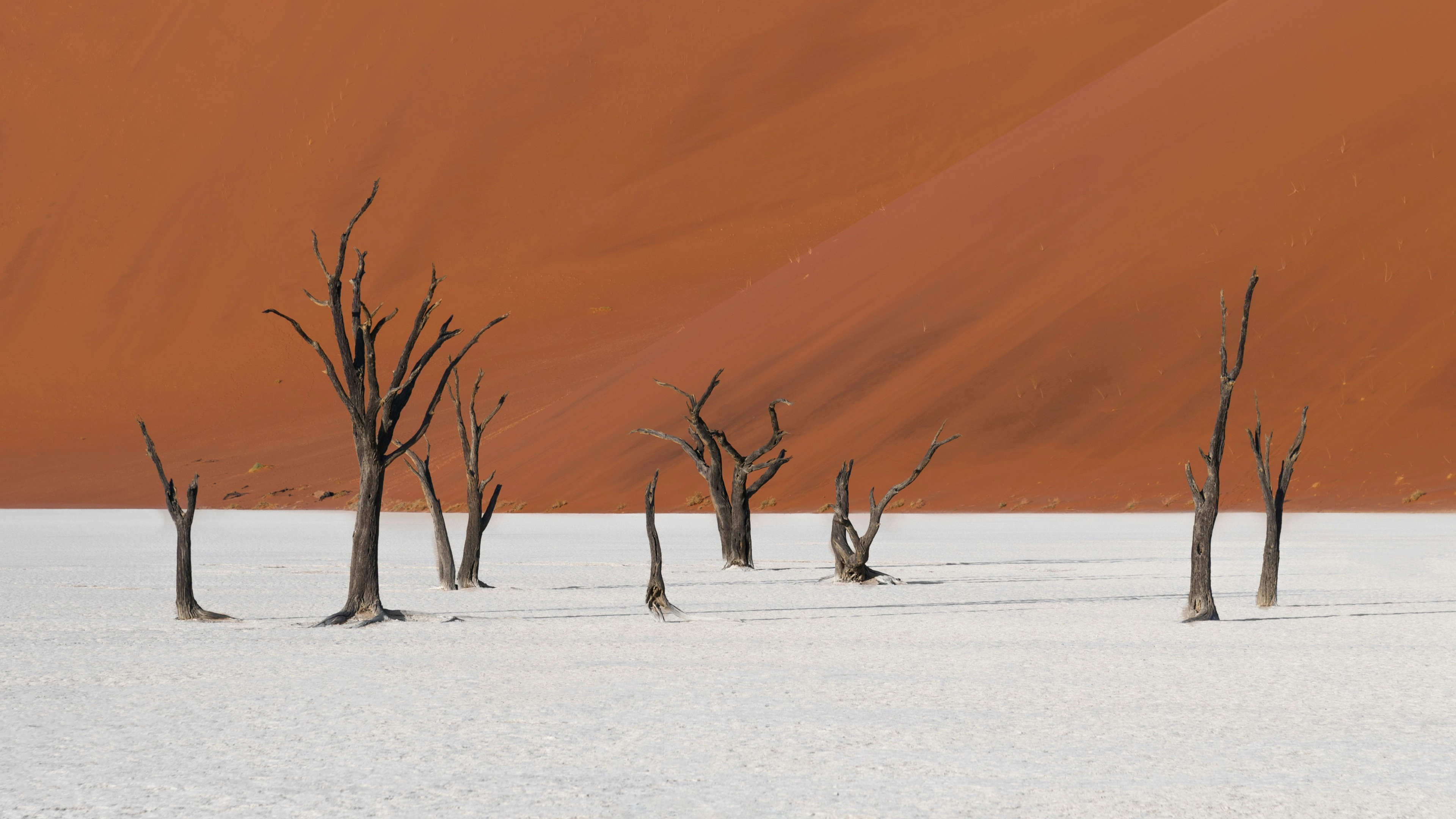 Africa Collection Holiday