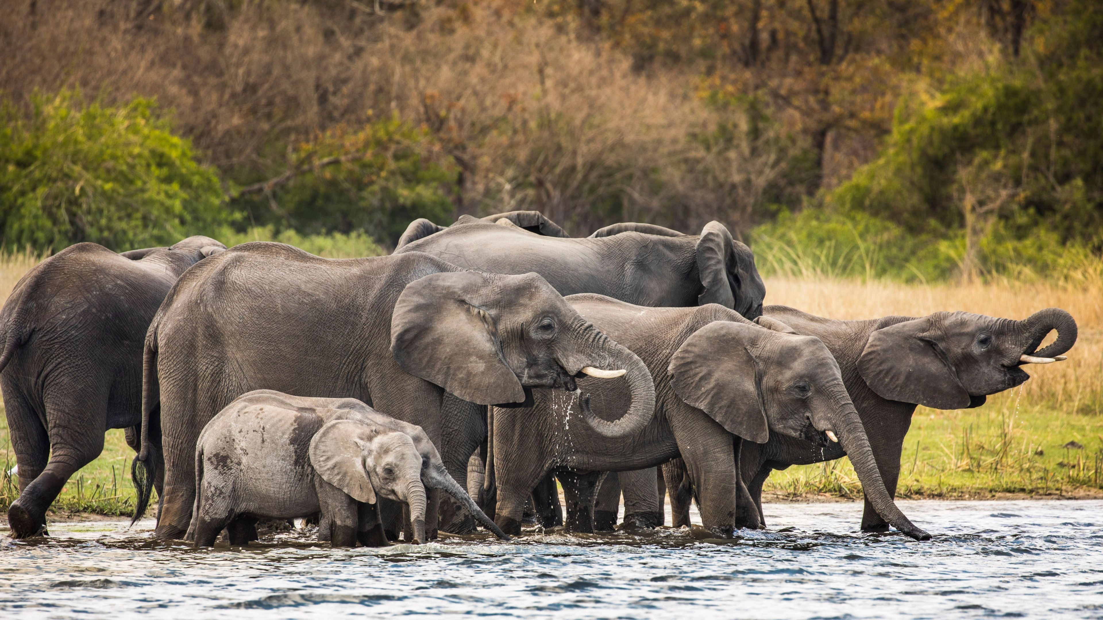 Africa Collection Holiday