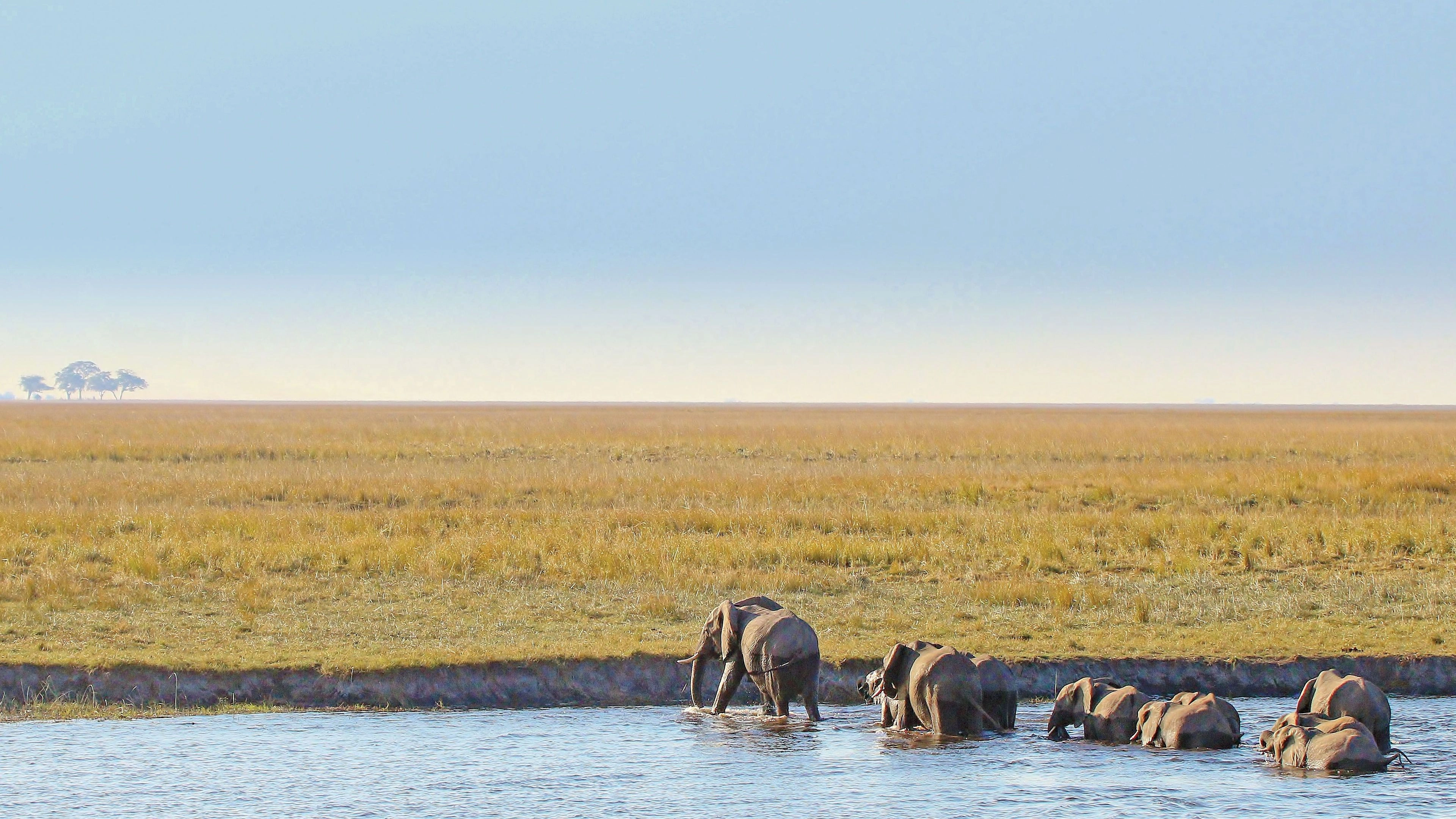 Africa Collection Holiday