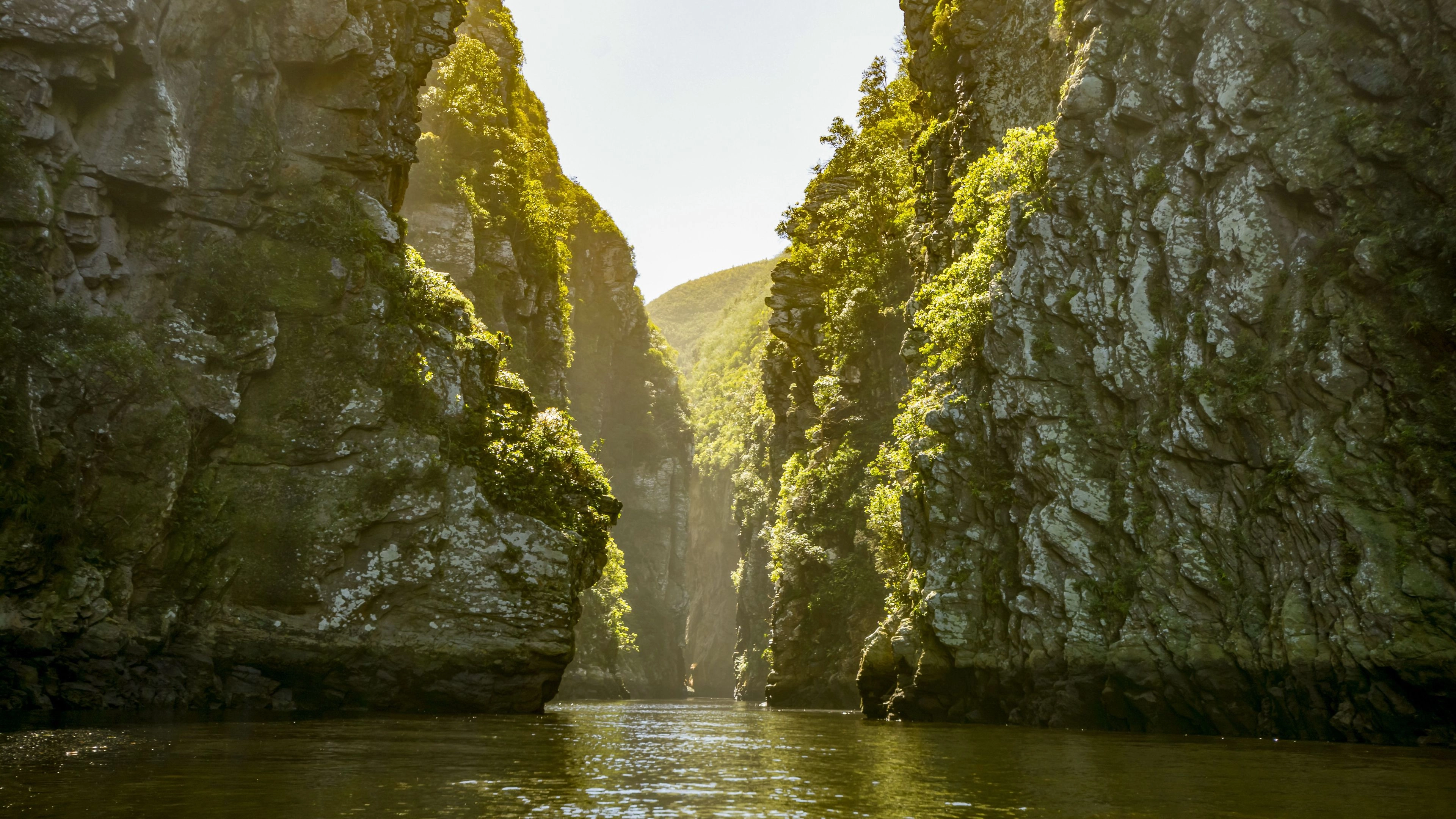 Africa Collection Holiday