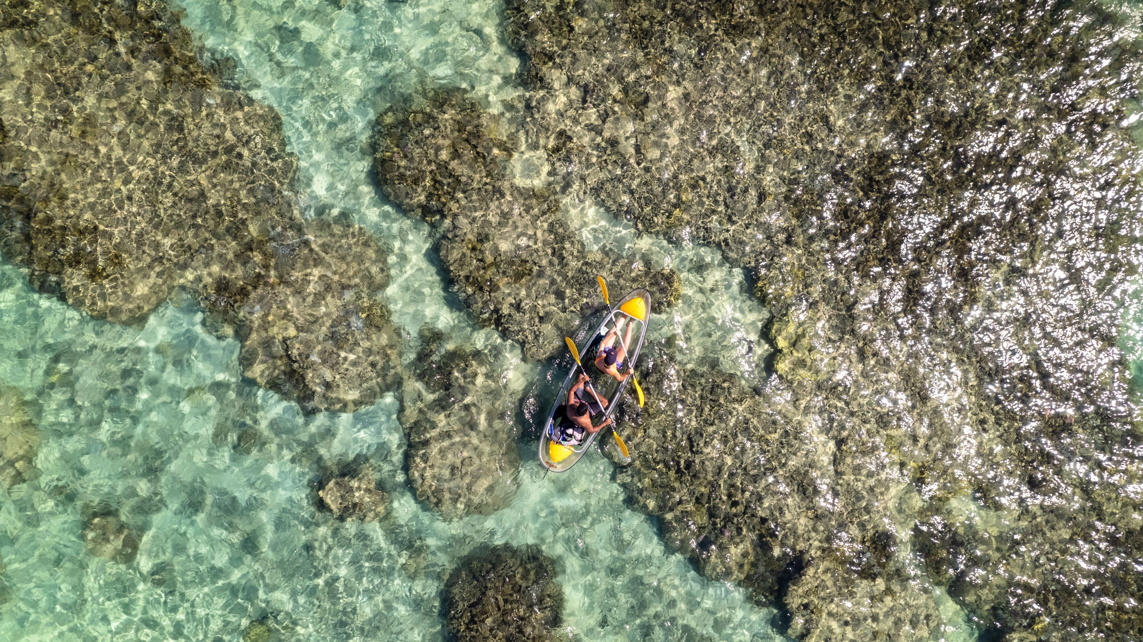 Africa Collection Holiday