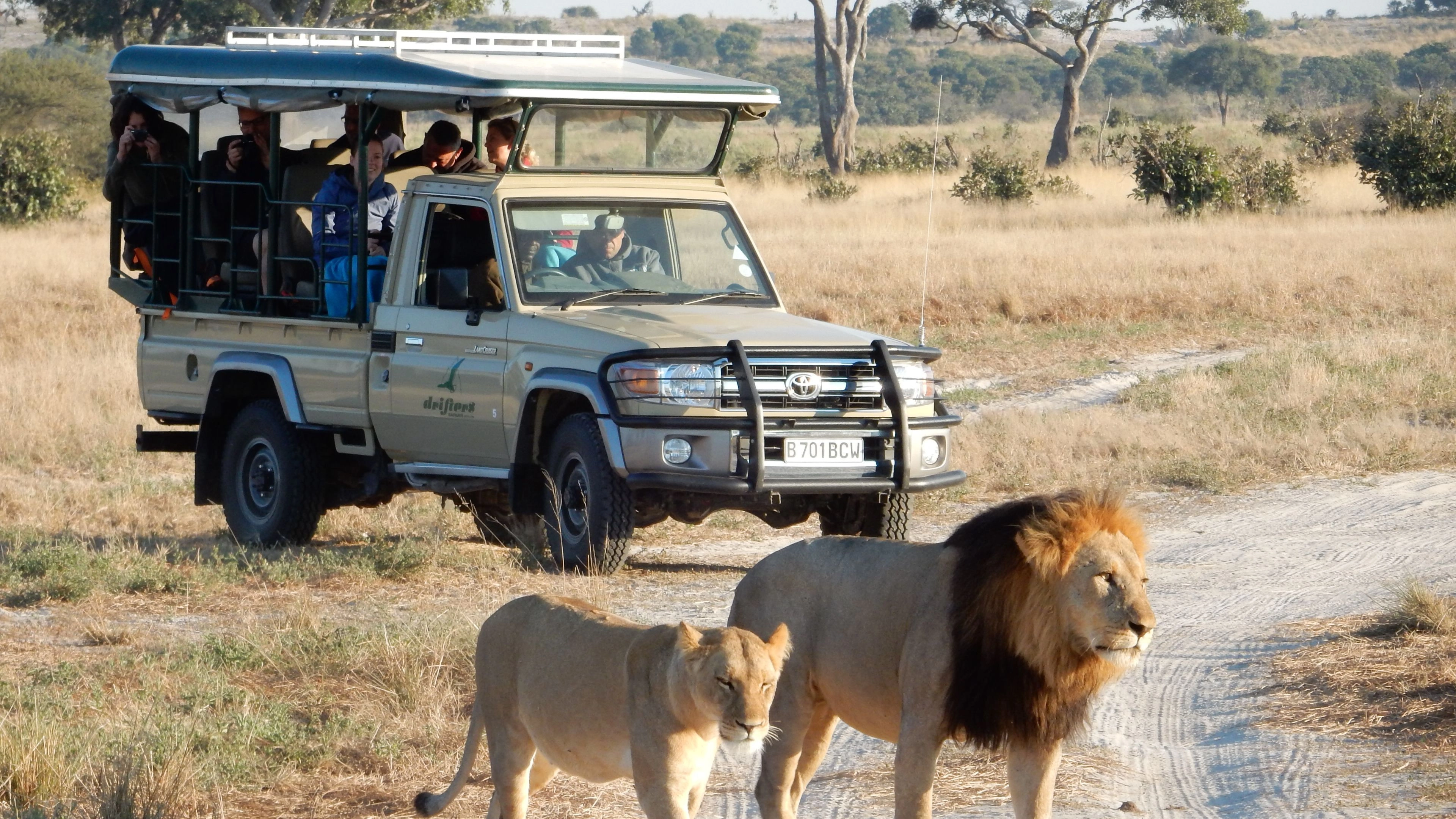 Africa Collection Holiday