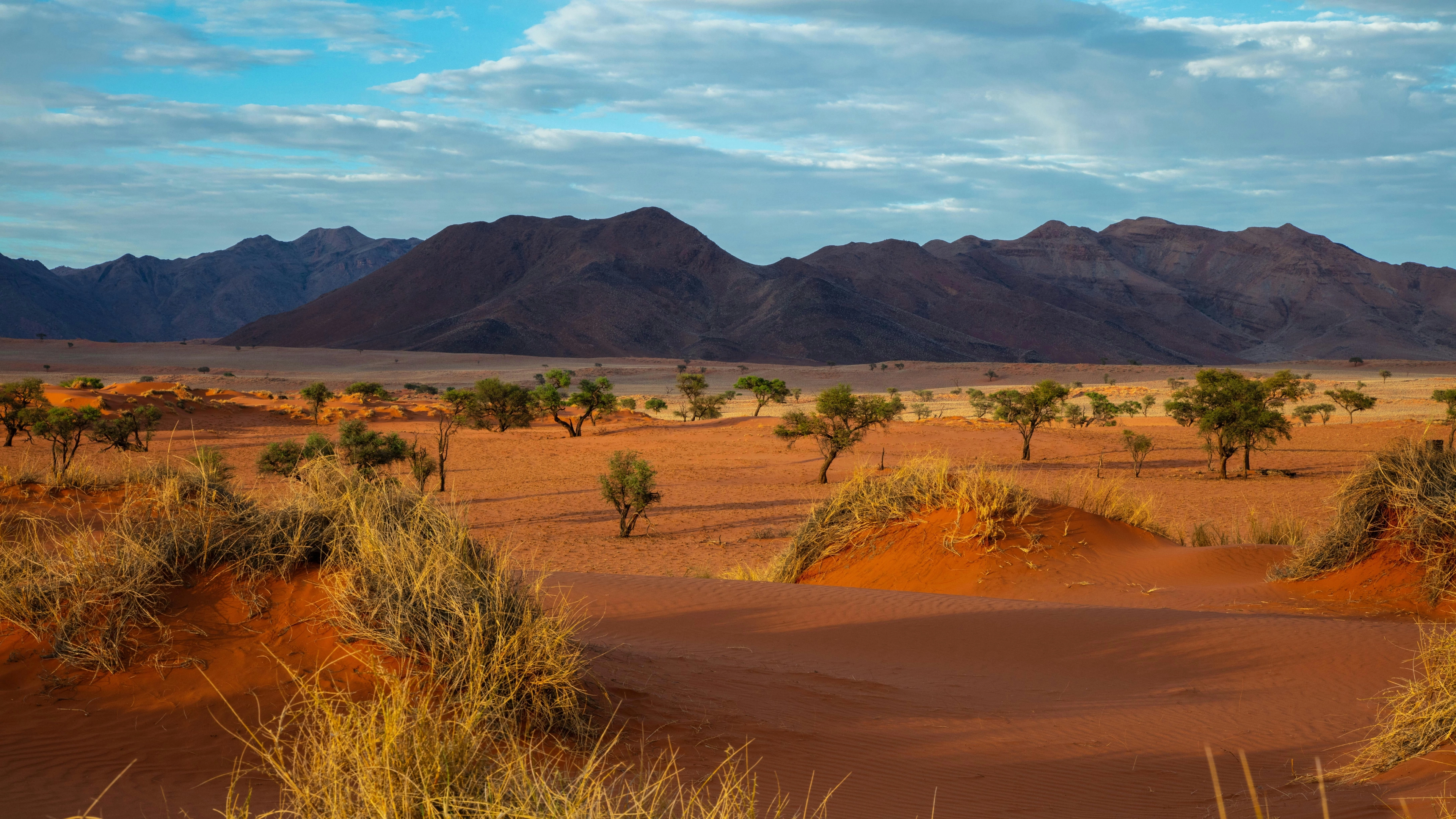 Africa Collection Holiday