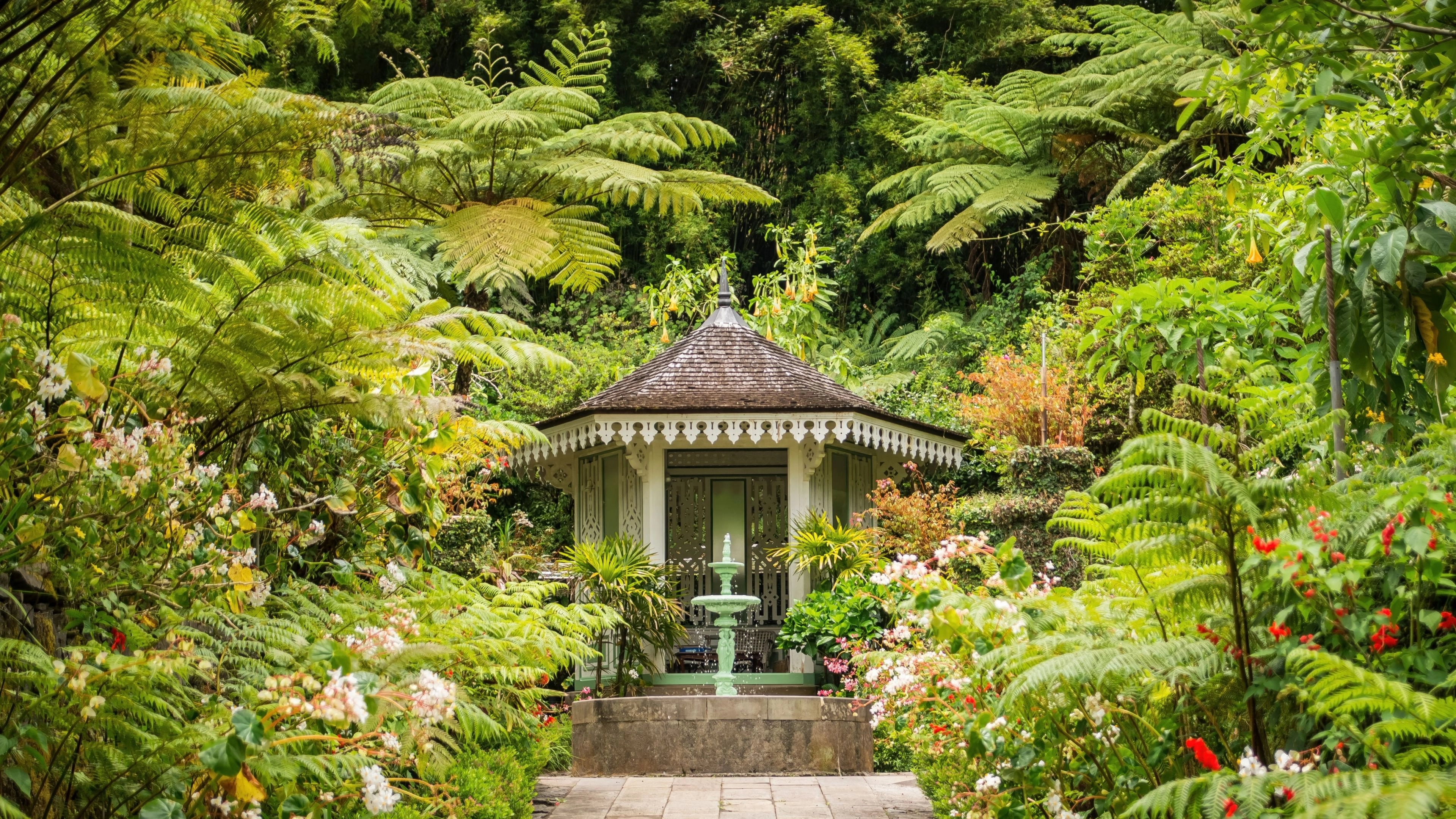 Africa Collection Holiday