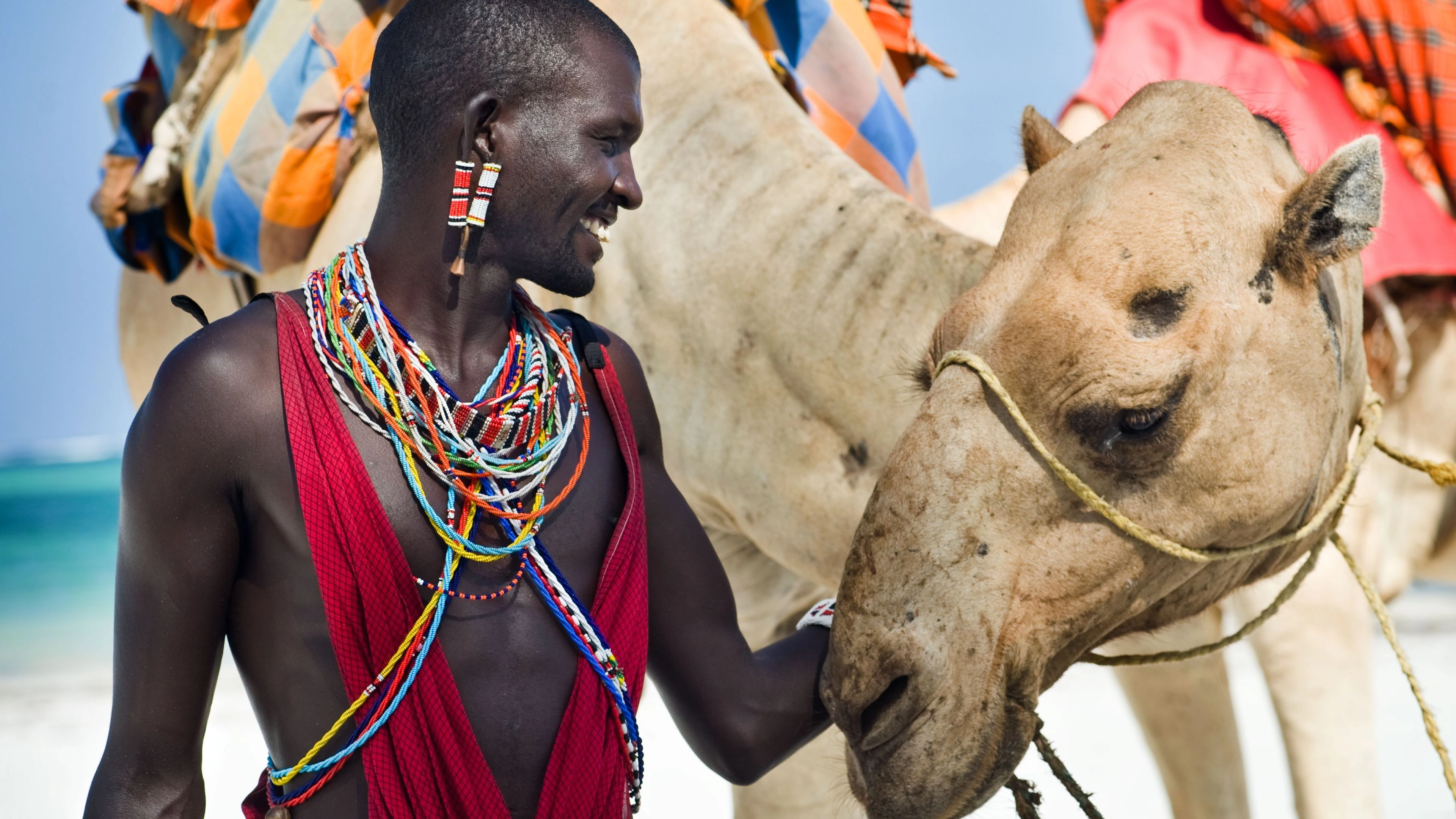 Africa Collection Holiday