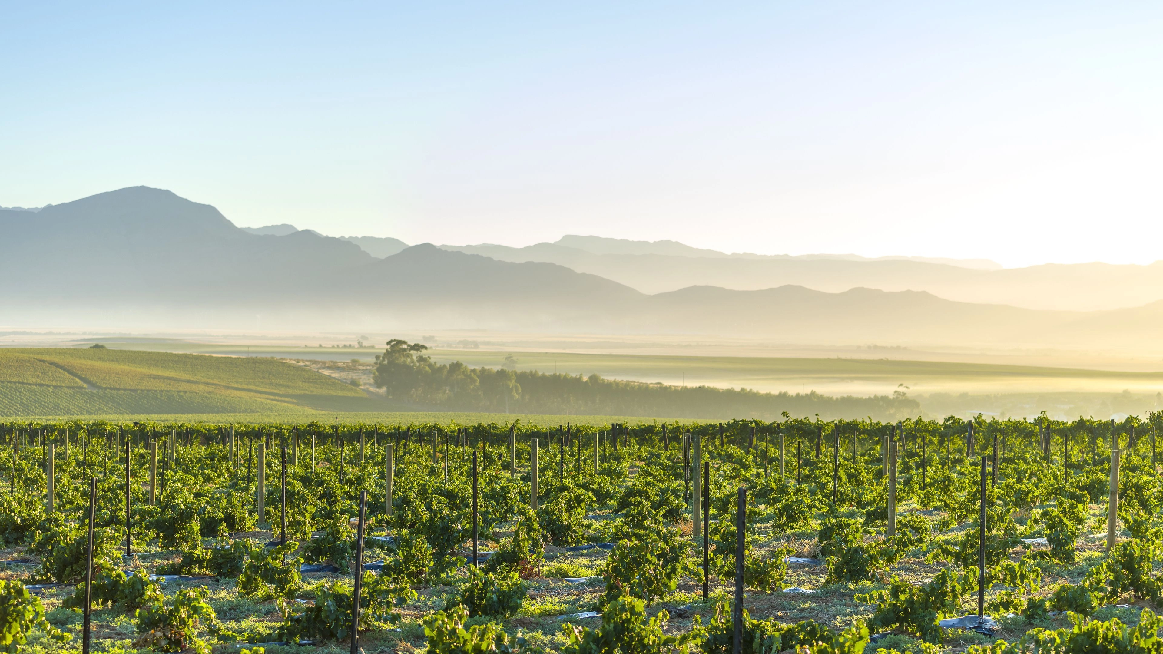 Africa Collection Holiday