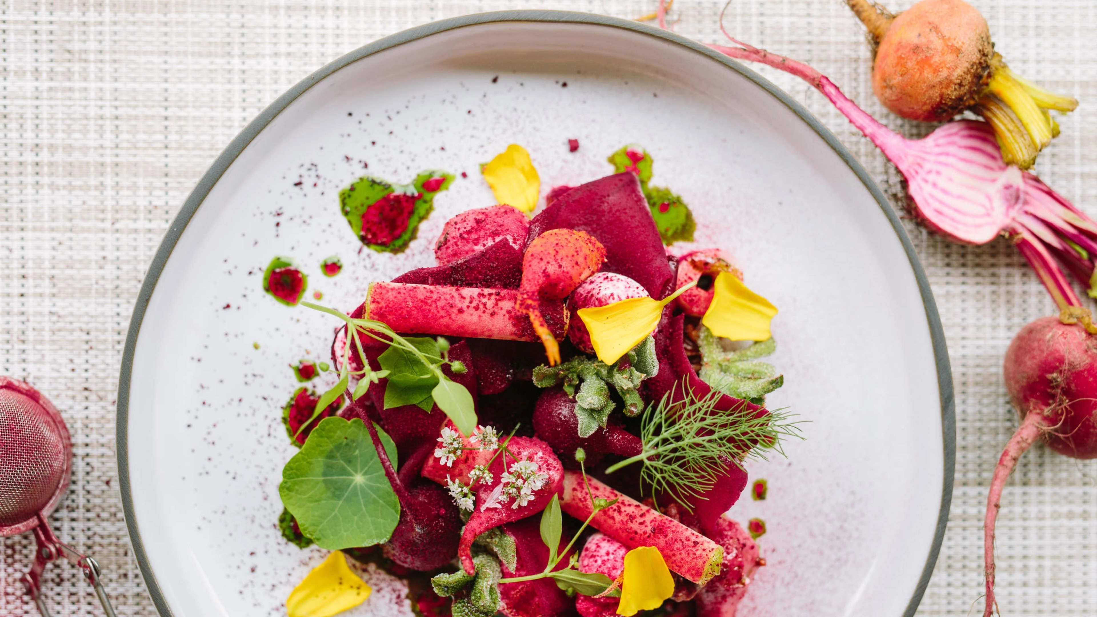 Africa Collection Holiday