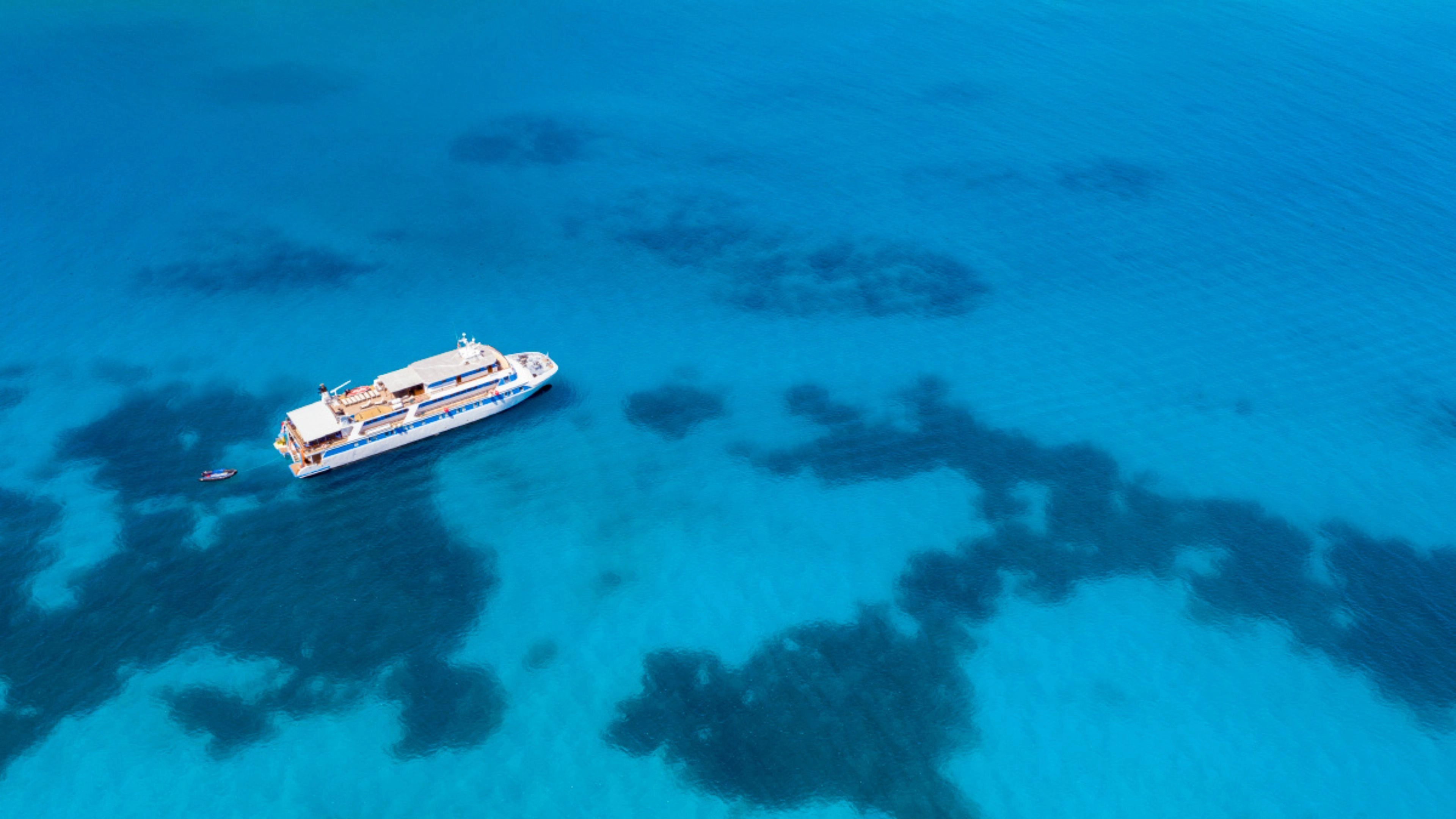 Africa Collection Holiday