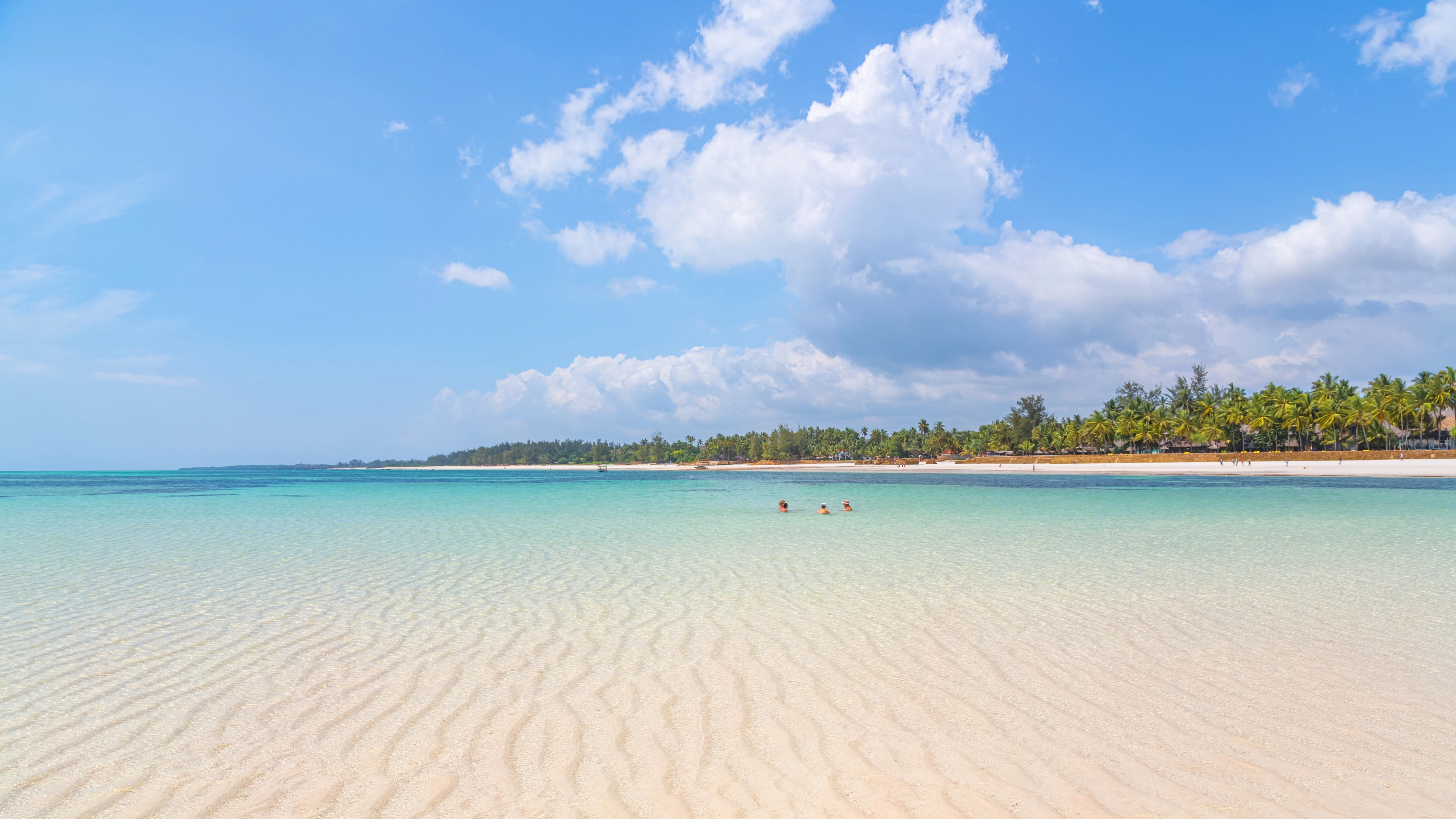 Africa Collection Holiday