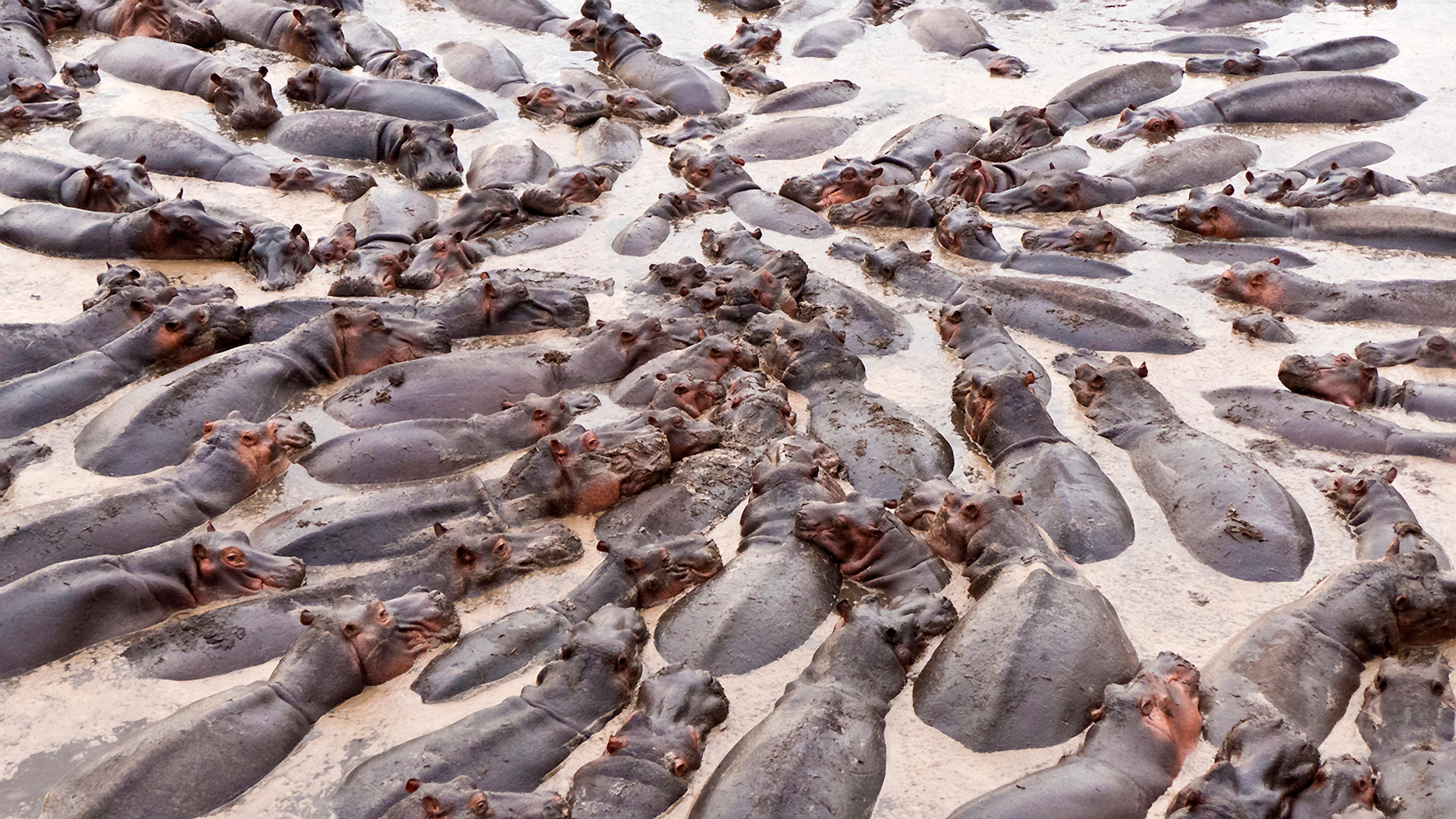 Africa Collection Holiday