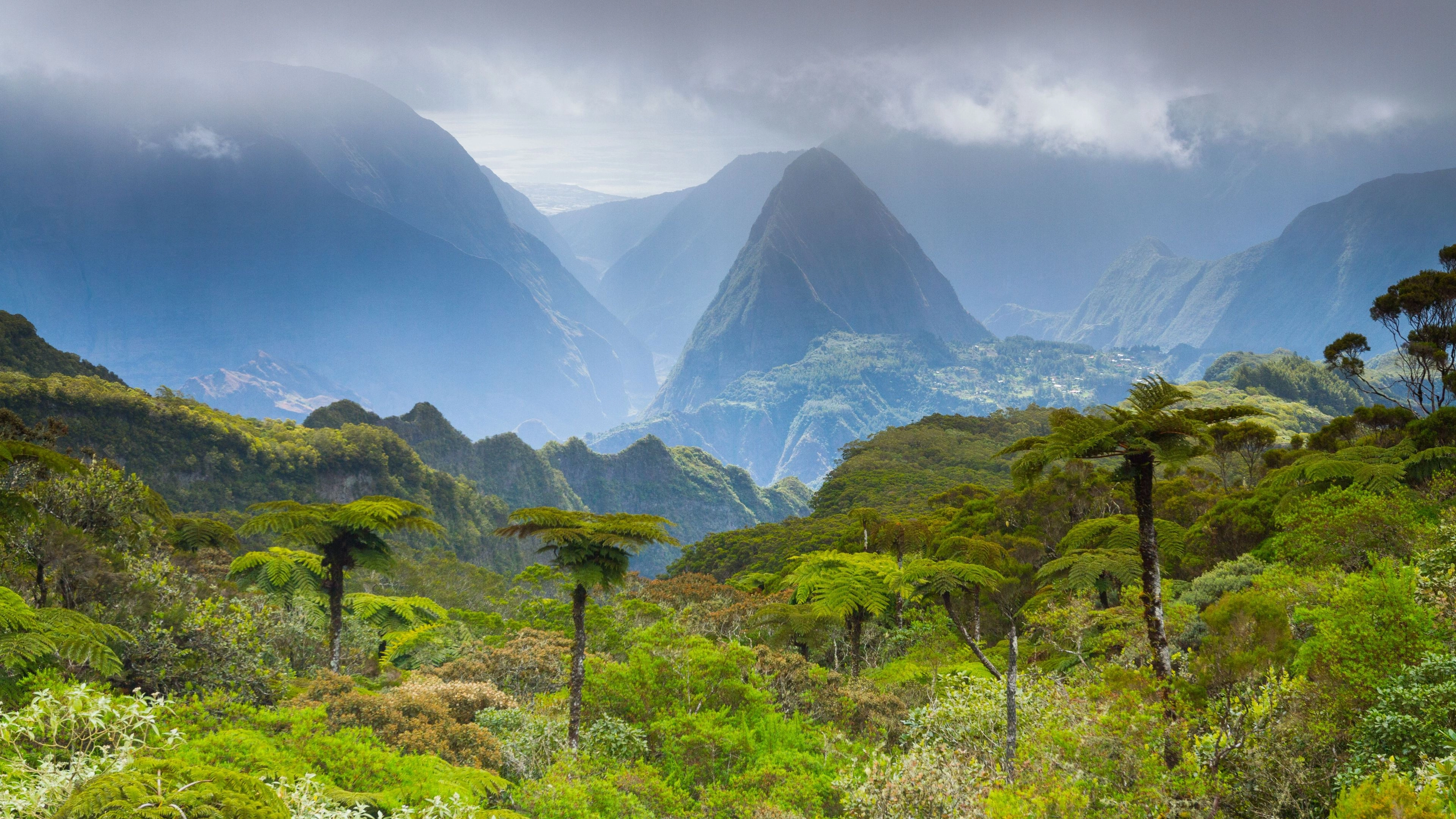 Africa Collection Holiday