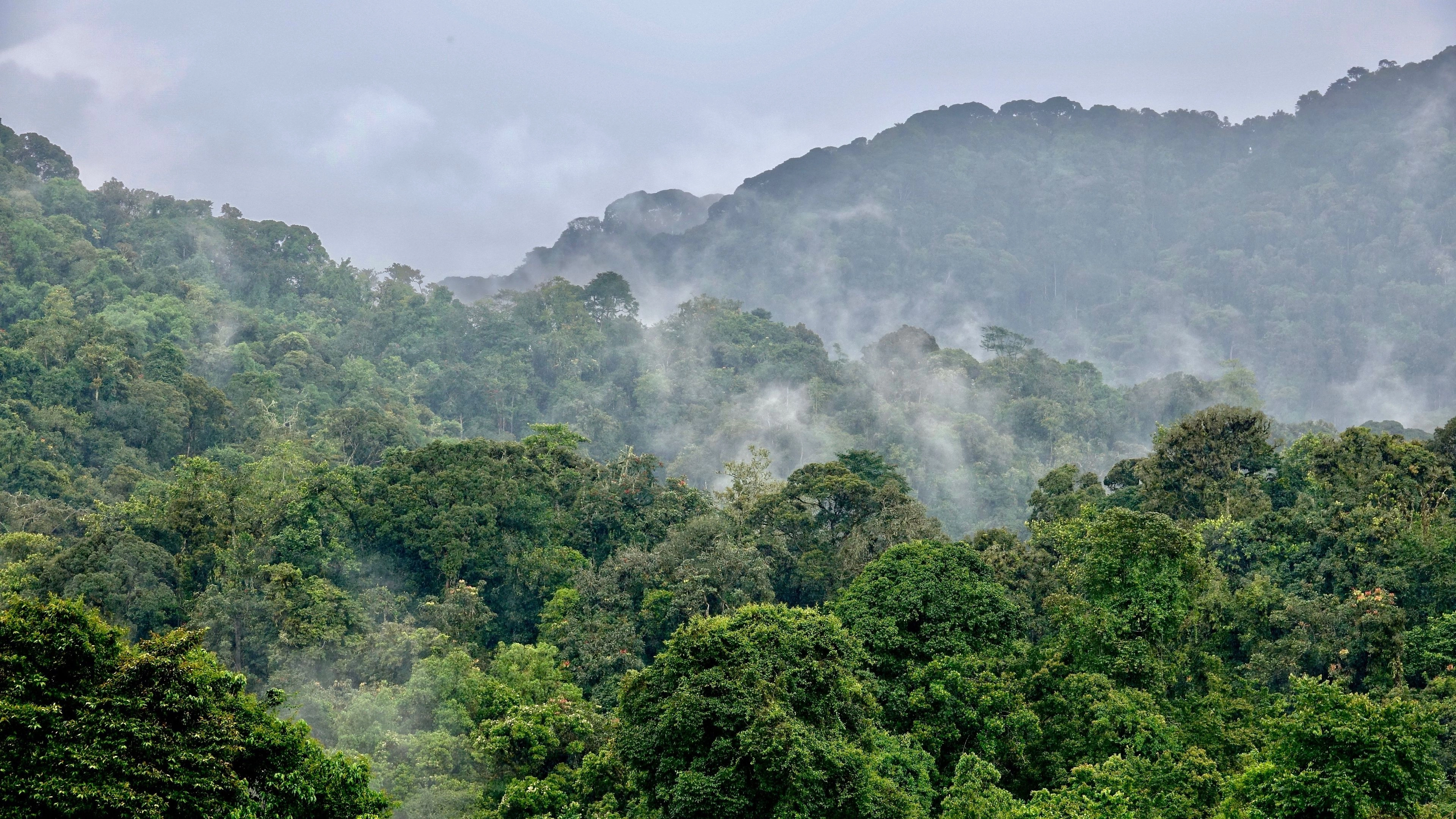 Africa Collection Holiday