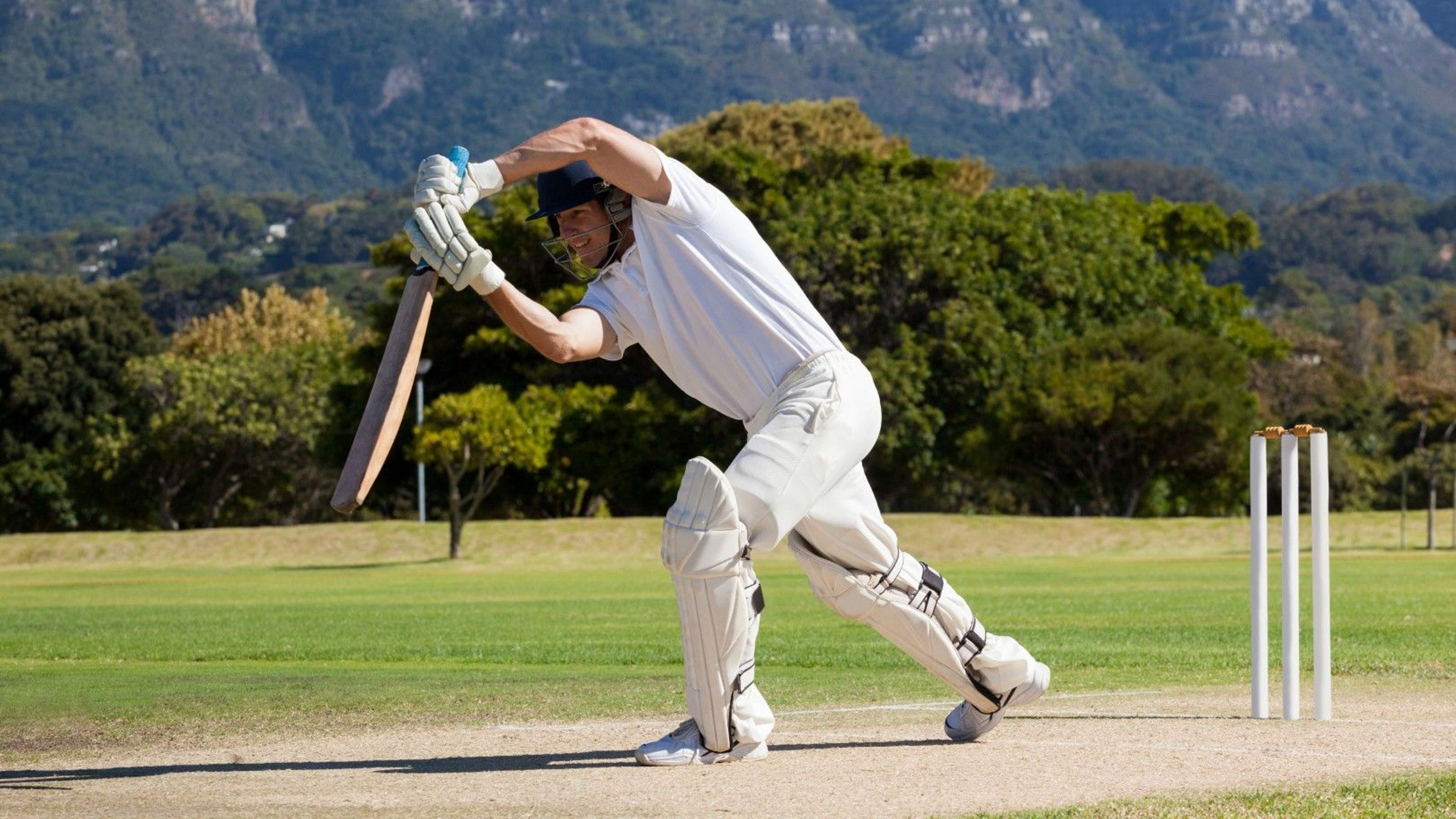 Africa Collection Holiday