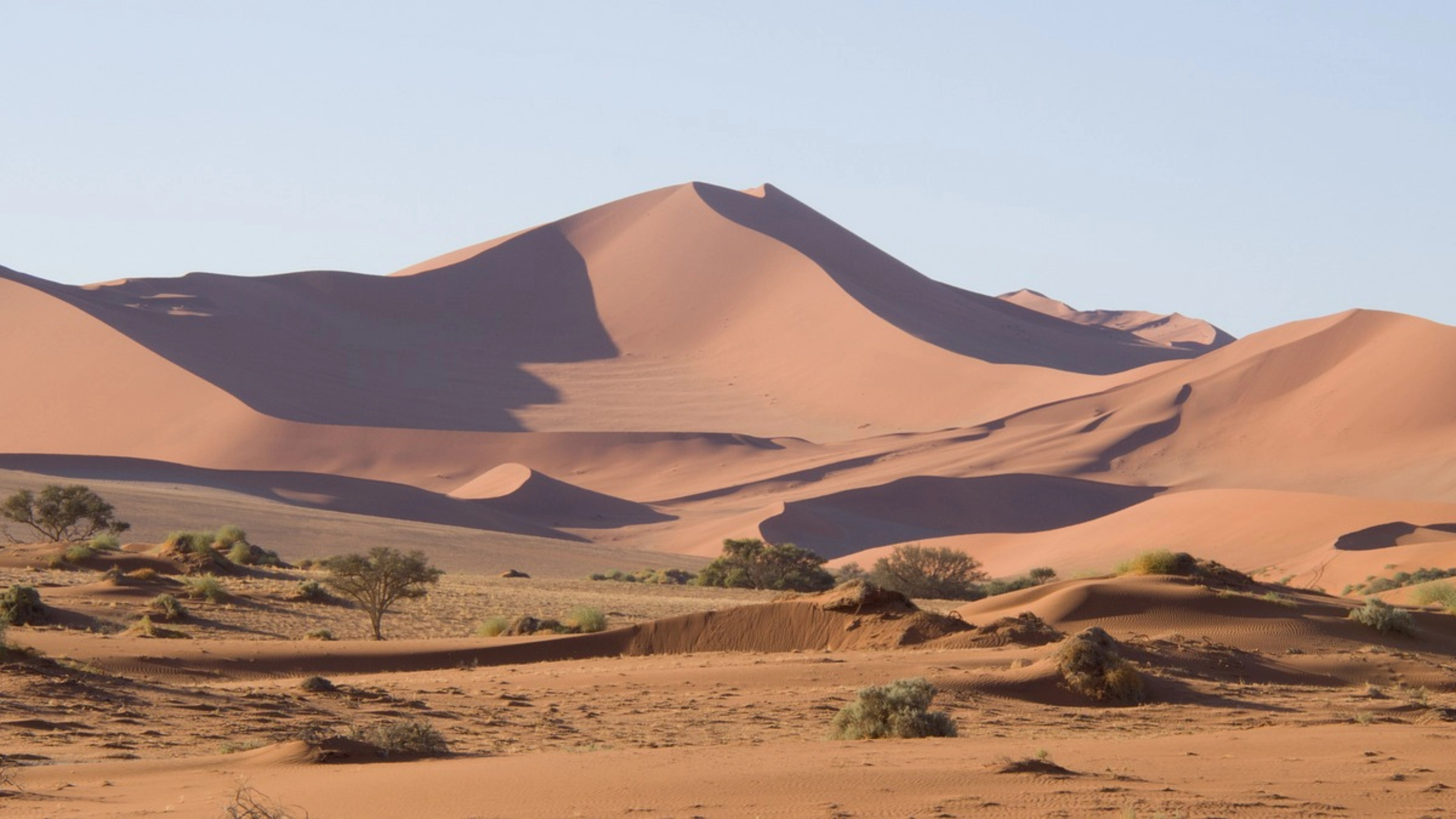 Africa Collection Holiday