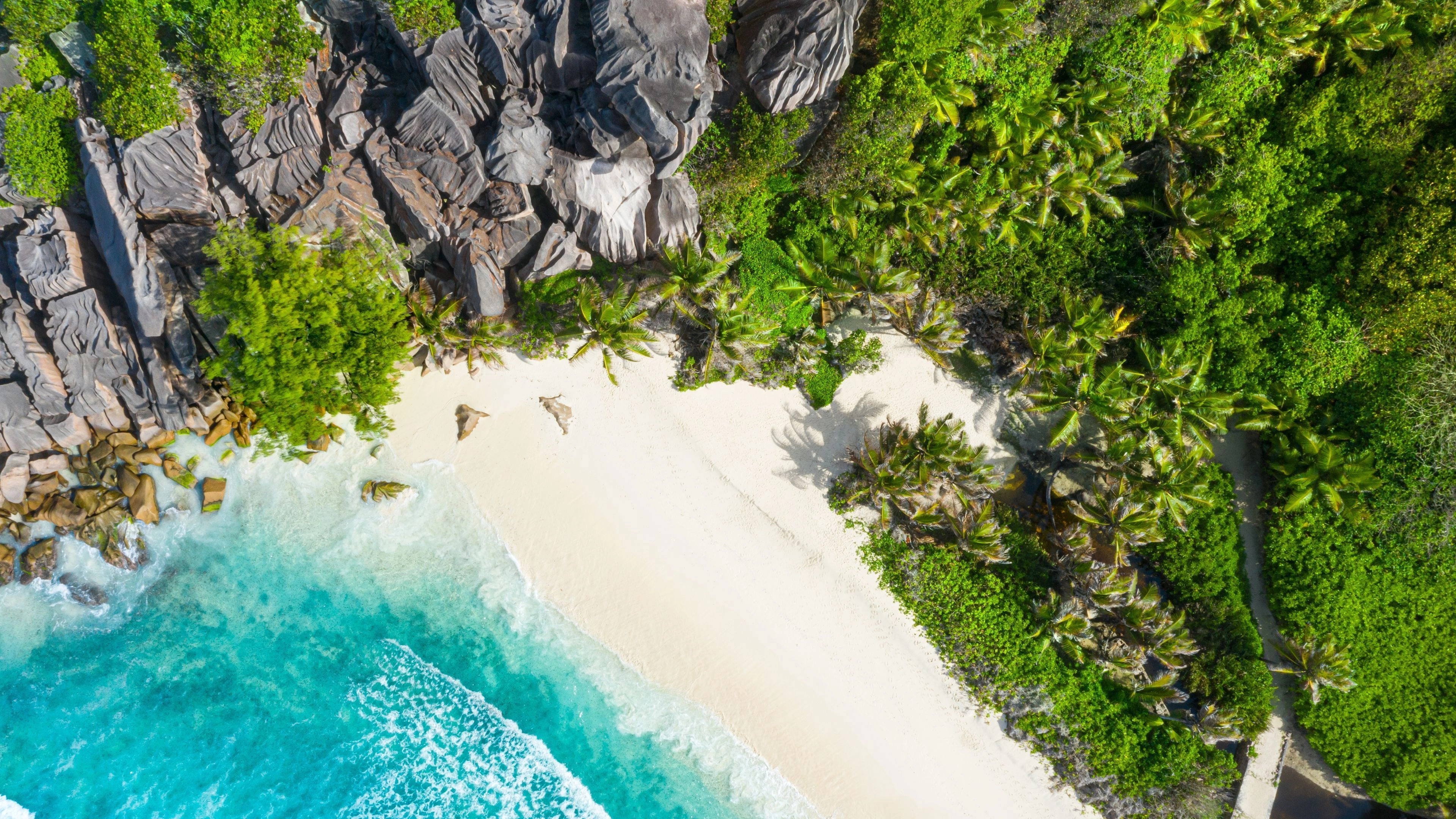 Africa Collection Holiday