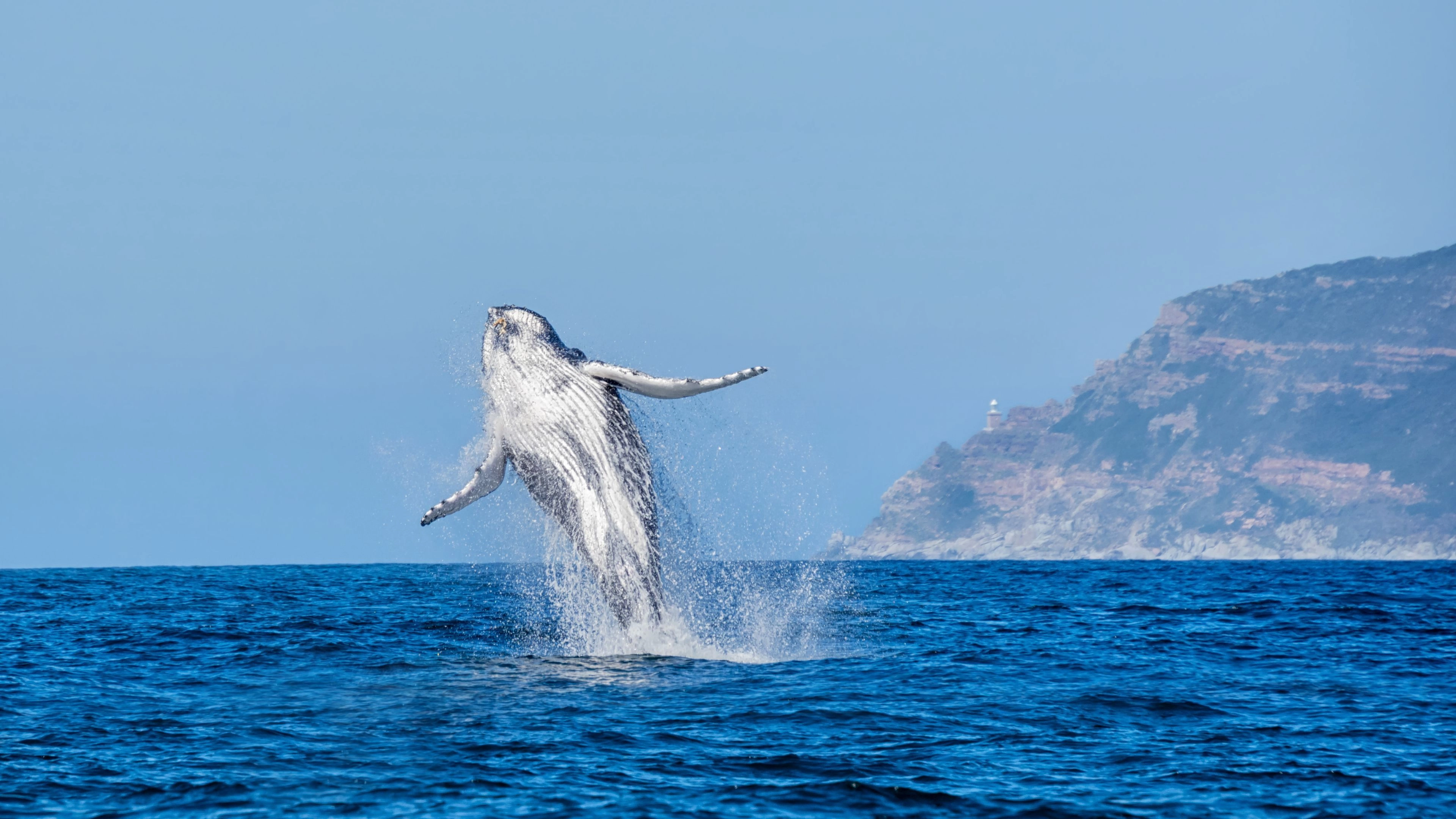 Africa Collection Holiday