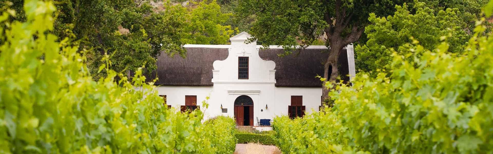 Africa Collection Holiday