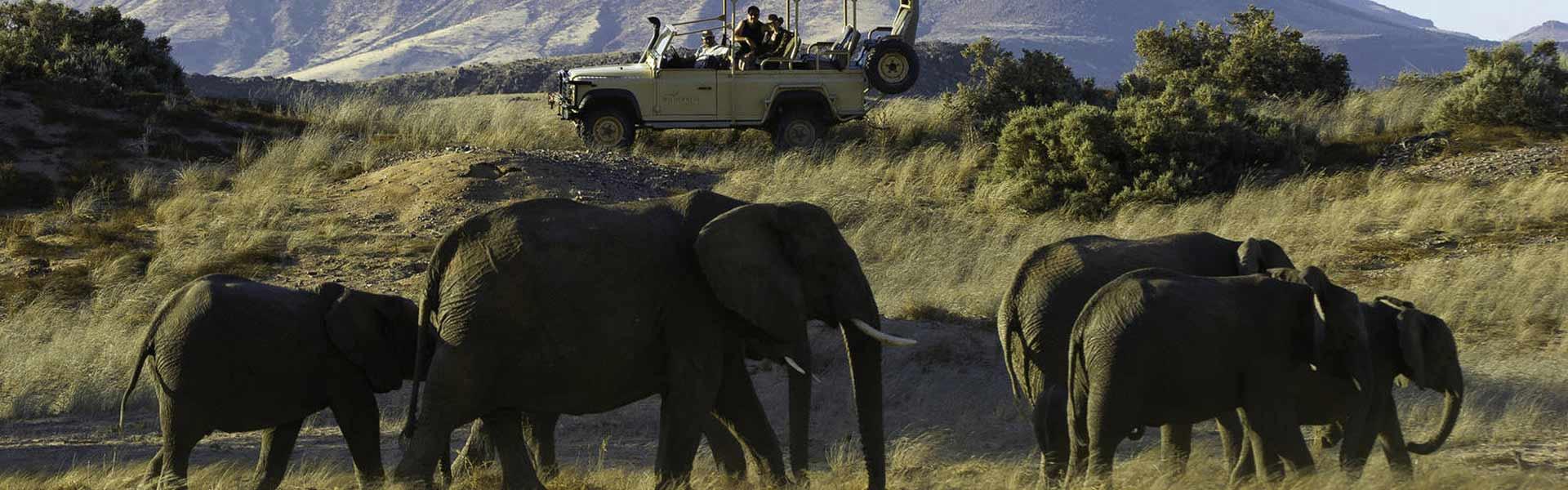 Africa Collection Holiday