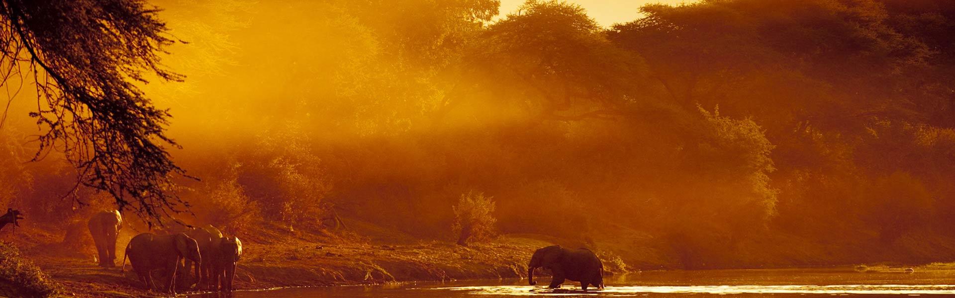 Africa Collection Holiday